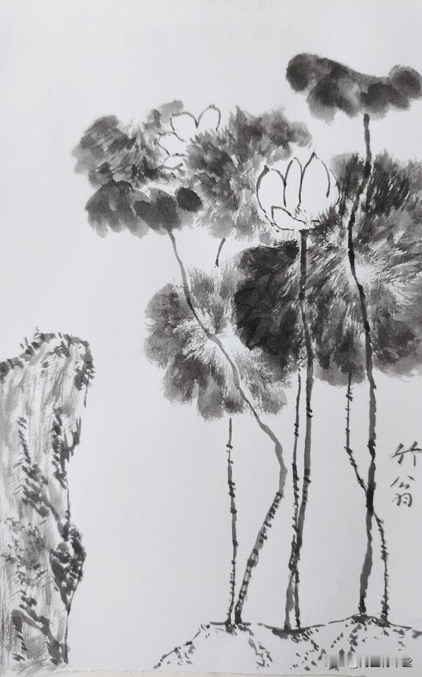 晒晒我的摄影作品墨分五彩，荷自出彩