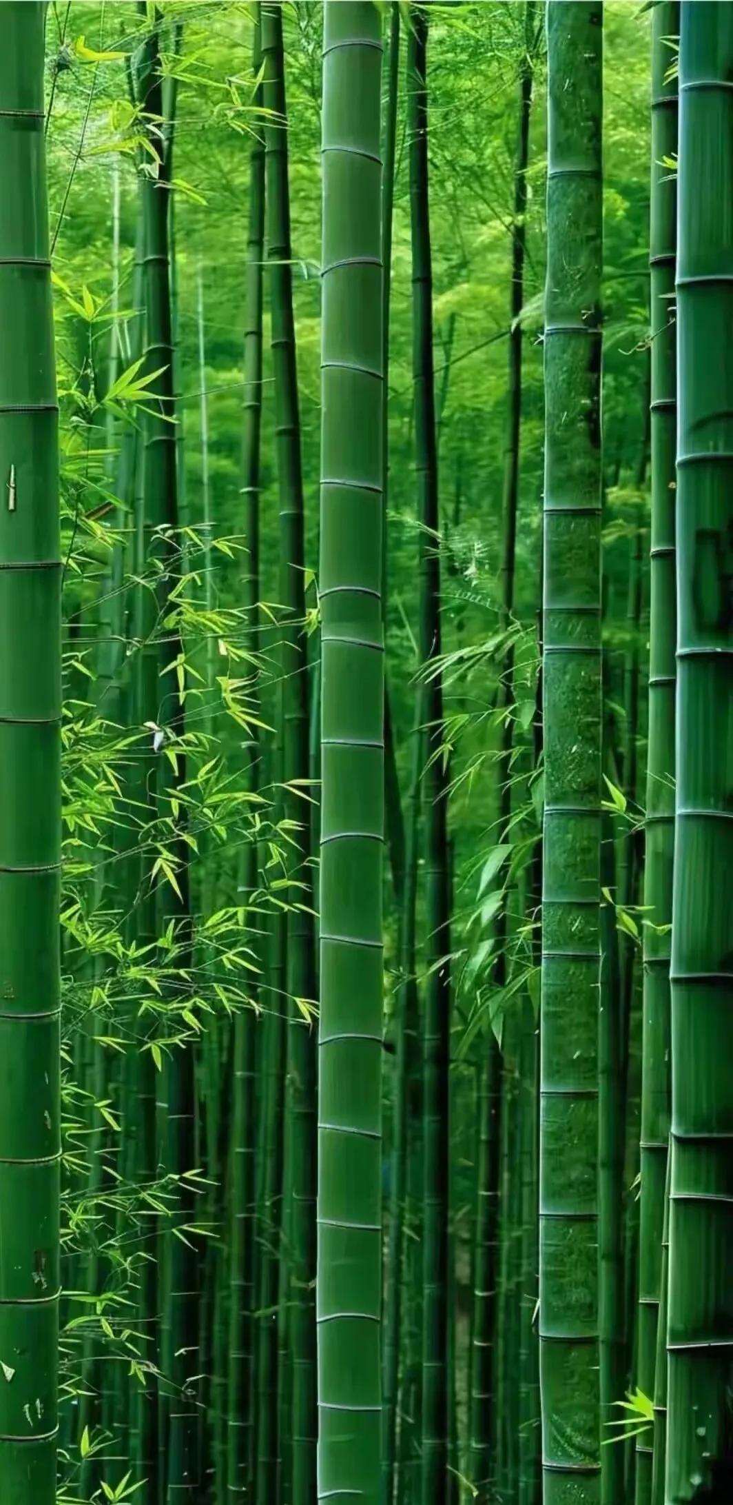 下联:翁登百尺楼。这里就出现了一种意境。宋朝一个忧国忧民的诗人，比如说，辛弃疾