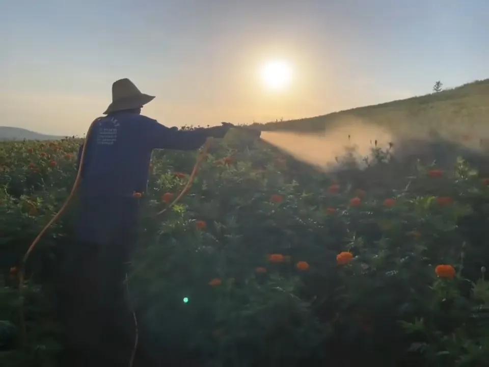 我真的特别喜欢我公公。嫁过来10多年了，公公不会做饭，不会做家务，不会说什