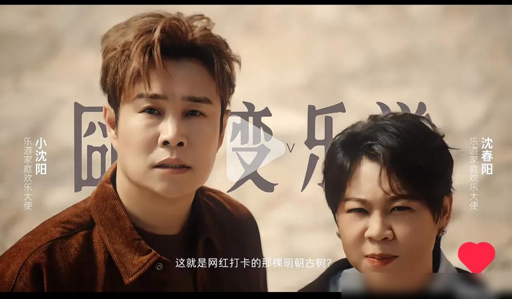 小沈阳怕是以后的钱都赚不完了，不是女儿火了，而是她们两口子把打广告拉入了一个新赛
