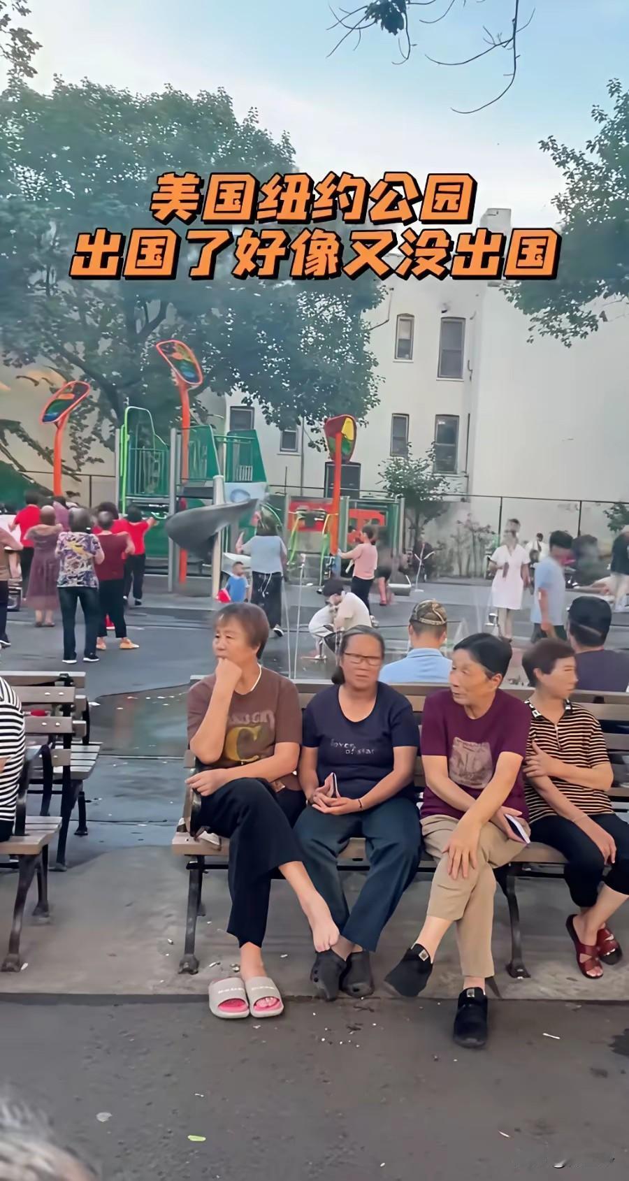 有点好奇，这些在美国纽约公园的中国大爷大妈们，究竟是什么身份？是40年前因公