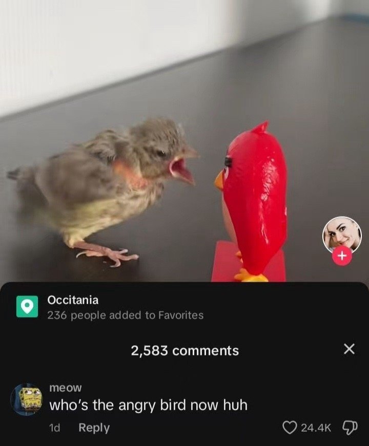 realangry​​​