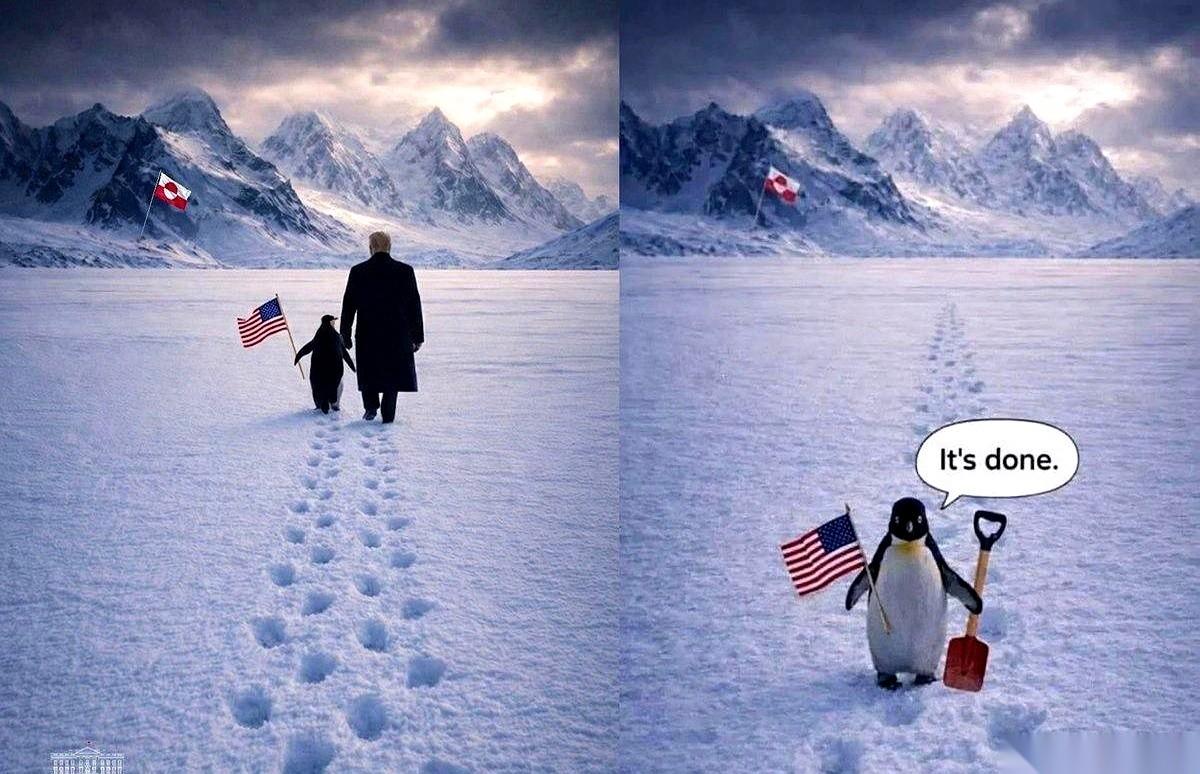 这企鹅，看着人畜无害的，下手是真黑啊。前脚刚跟人手拉手在格陵兰岛散完步，后脚就