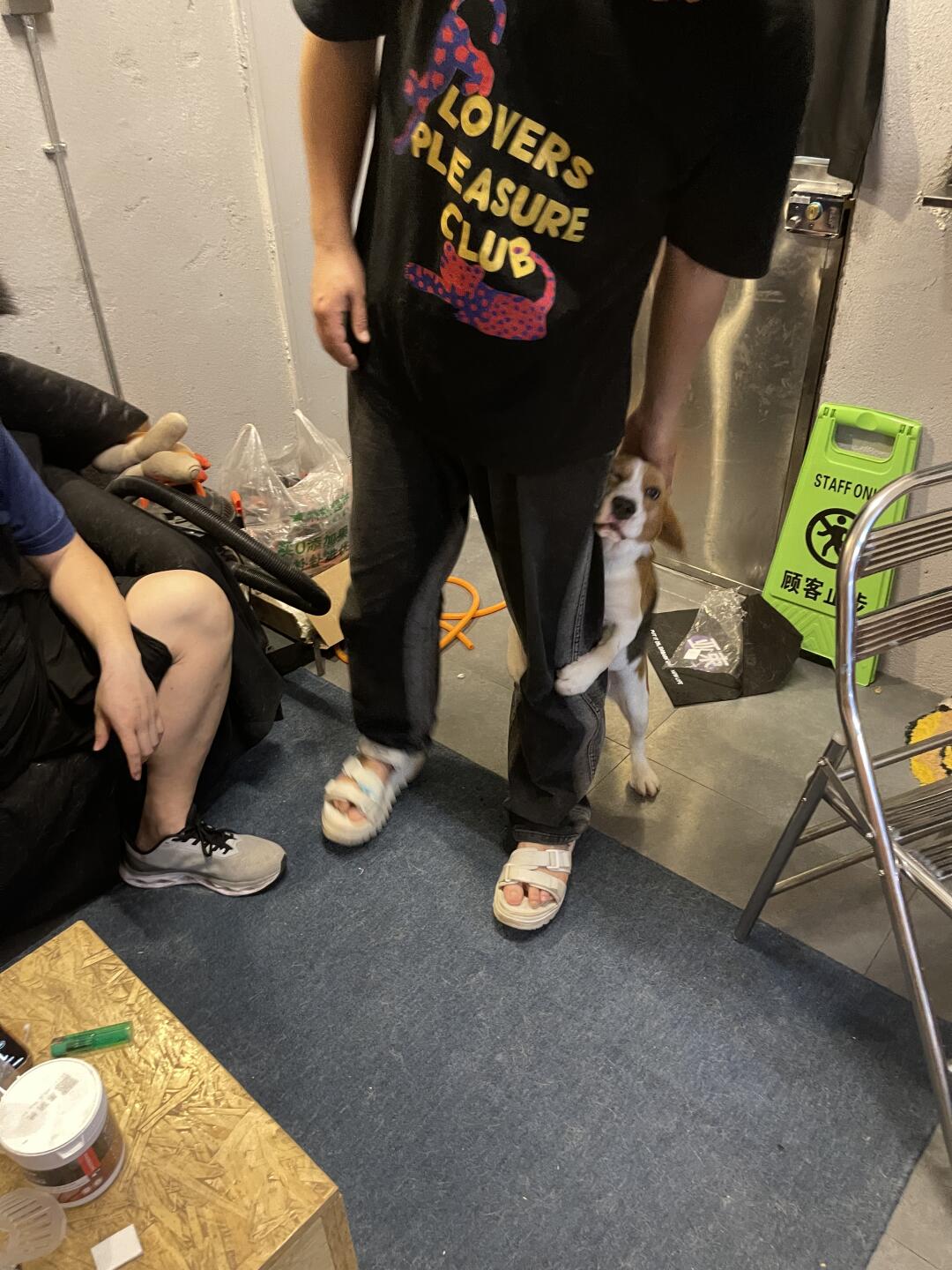 待客之道