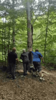 我还以为能站住