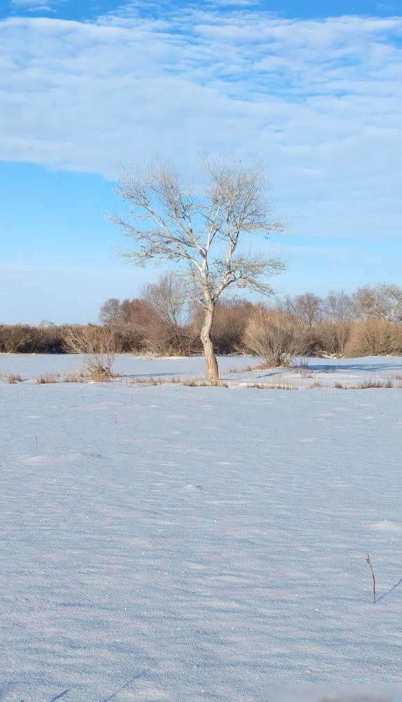 别以为退二线是让你喝茶看报，最新文件下来，是让你“下乡”。最近和几个在机关退二线