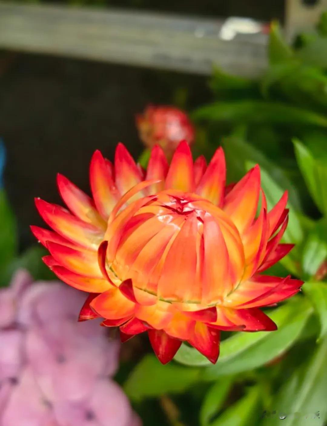 非常现实的话：“现在的70后，不管是男人女人，都误以为自己还很年轻，其实，除了吃