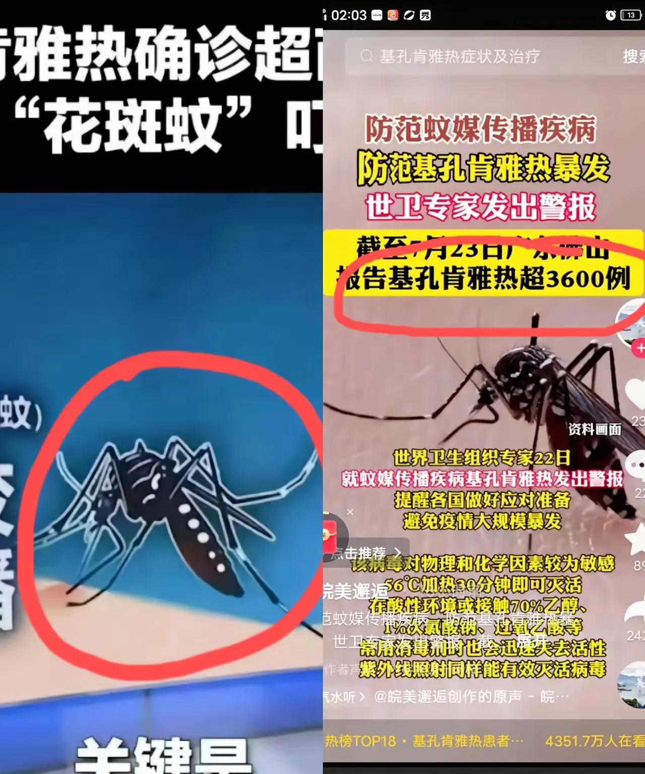 人蚊大战又要开始了，这可不是蚊香厂促销的广告，而是发生在佛山的真实写照。基孔肯