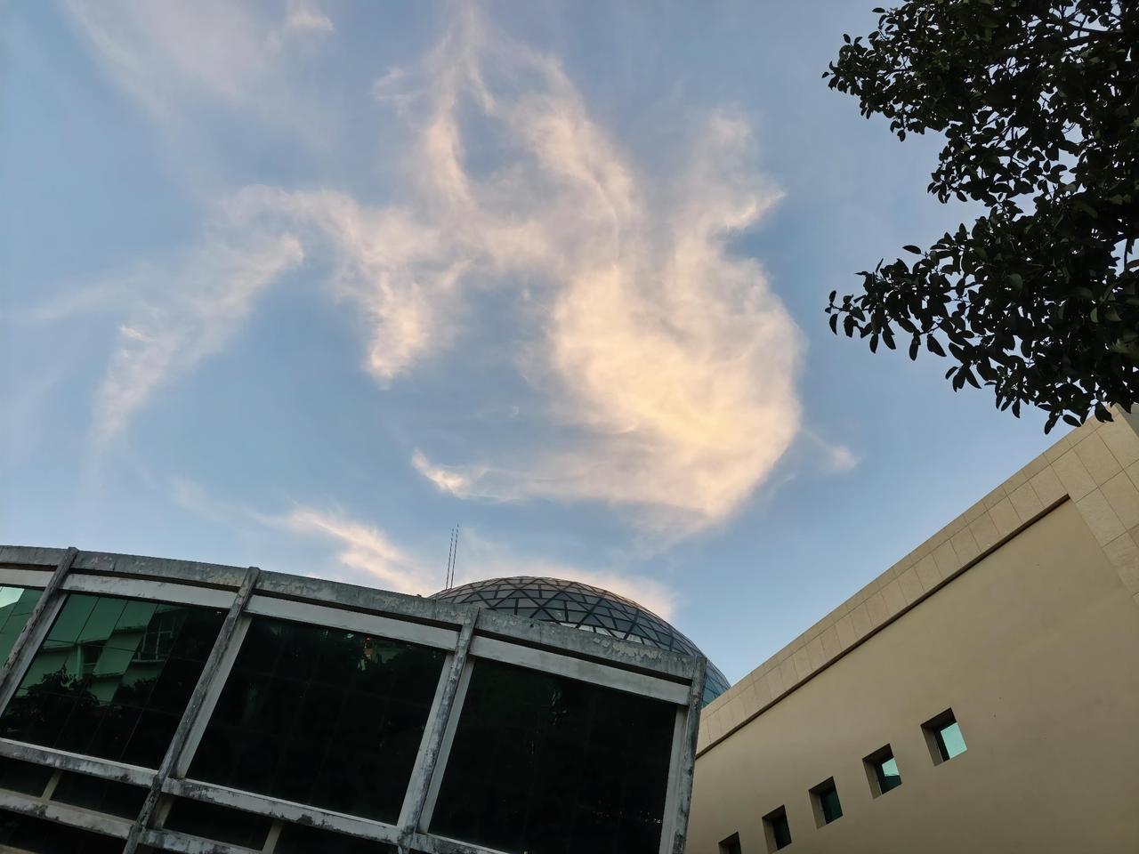 杰克·梅森曾说过：“我几乎没见过真正有分量的人，会把阅读丢在一边。书页里的内容，