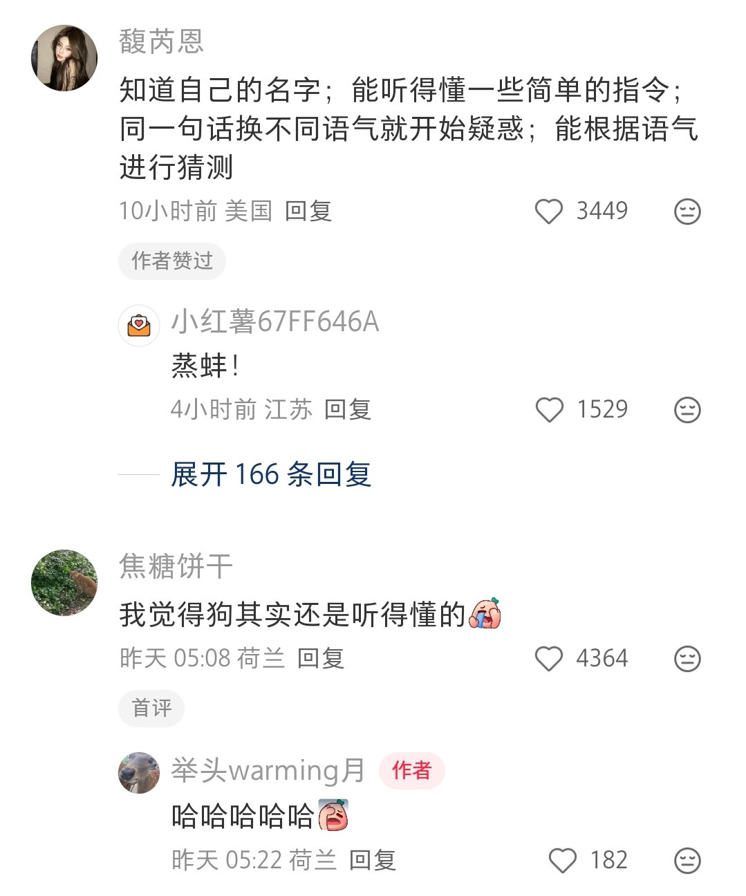 哈哈哈不会当地的语言，就学会了狗狗的看脸色行事