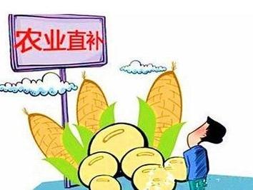 2026年的种粮补贴已经到农民手上了，最高每亩可以补贴600多块钱，没收到的赶