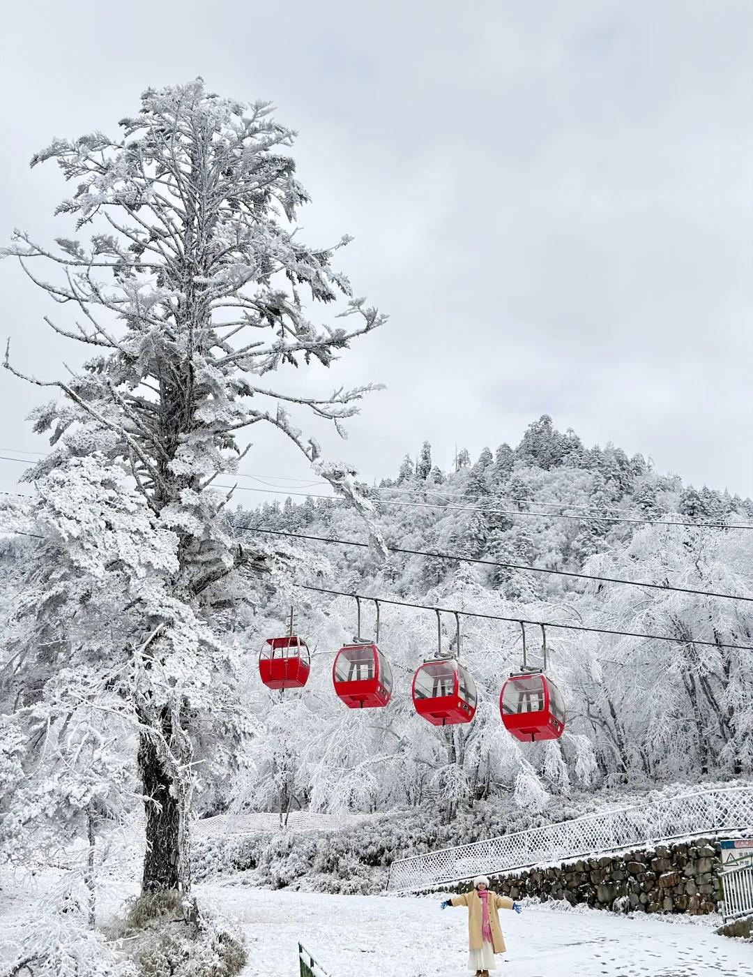 11.19实拍|成都周边！朋友以为我去了北欧11.19实拍📸在喇叭河邂