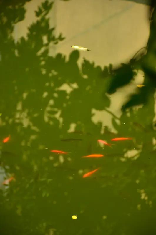 部门组织团建去唱KTV。有个同事的老婆每隔15分钟就跟他视频查岗。有一回，