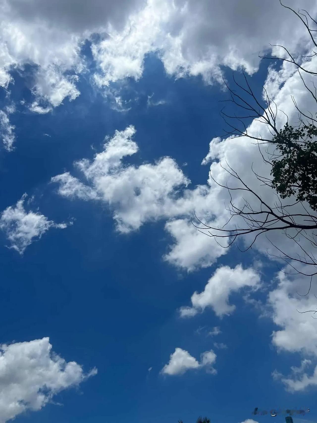 昨天我因为失眠，吃了刺五加片，昨天晚上早早就睡了，睡的哈哈的，啥都不知道！今
