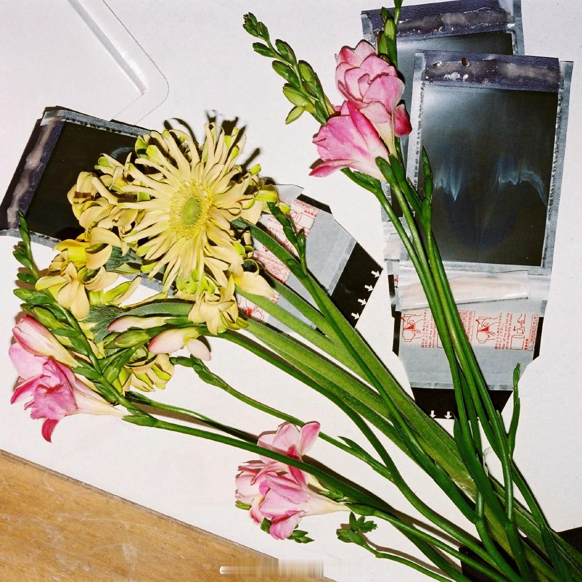 HappyBaby'sDay！鼻姐生日快乐！祝Angelababy万事顺遂，