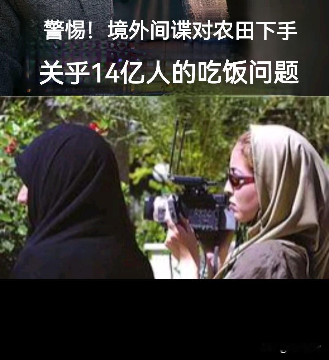 有人偷泥土，有人偷拍照，有人盯上了我们的农田和种子。这不是普通的盗窃，而是在