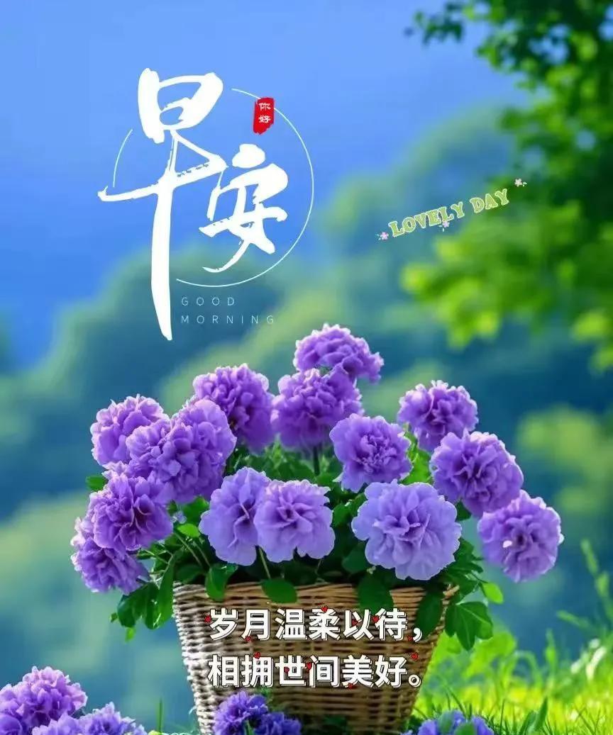 早安心语：岁月温柔以待，相拥世间美好晨曦破晓，新日初升，岁月又添一抹温柔。在这