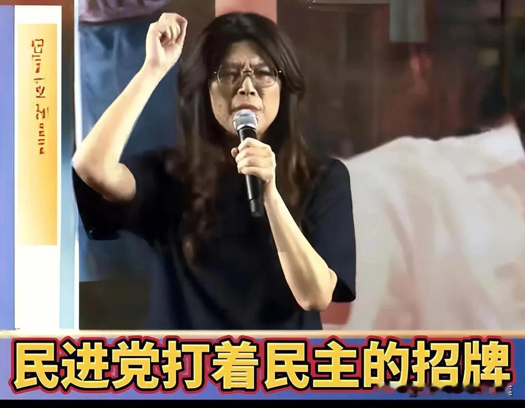 卢秀燕不选，郑丽文喊话：我一定选到底！国民党主席争夺战暗藏玄机2025年8