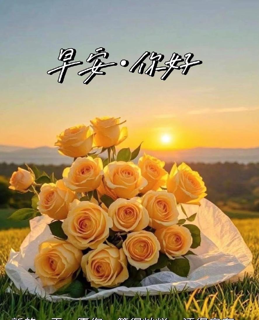 [玫瑰]早上好[玫瑰]新日初升，好运开篇！把福气、运气、财气统统打包，塞进