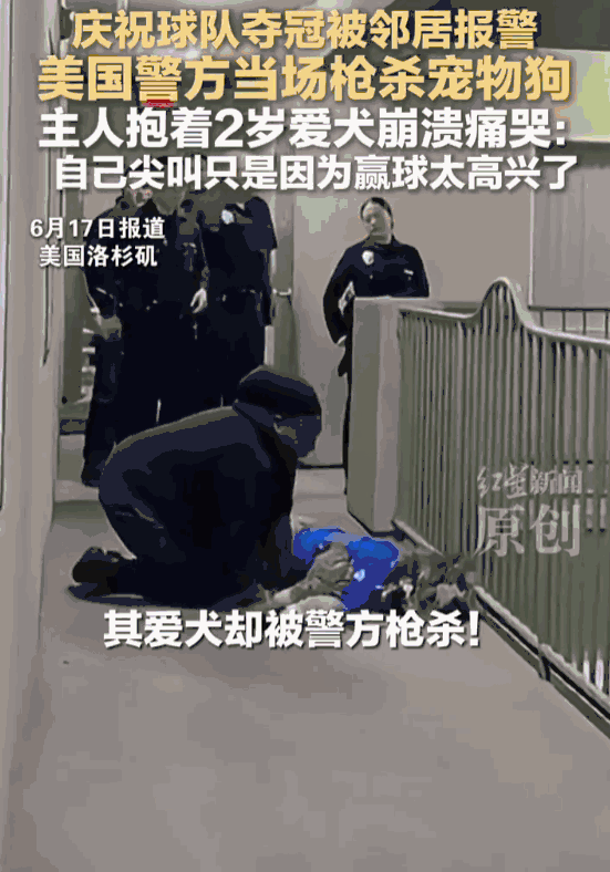 “乐极生悲！”美国洛杉矶，一场等了足足53年的冠军狂欢，最终却让一个女孩的世界彻