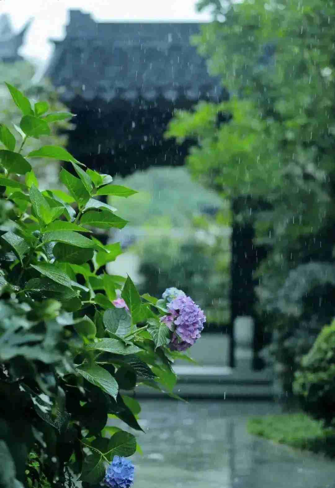 我的今日状态：🏝️旅行度假我这里的天气：🌤️多云预料中的大雨没有下下来，
