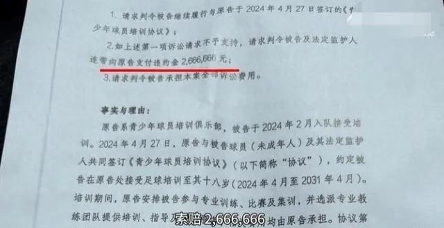 孙继海事件经过几个月的沉寂，再次回归大众视野。青训方面一纸诉状将张家母子告上法庭