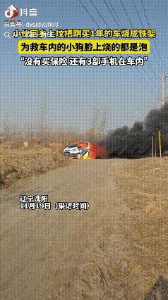 可把这家人的老祖宗高兴坏了！沈阳一小伙回老家祭祖，烧纸的时候竟然把自己刚买一年