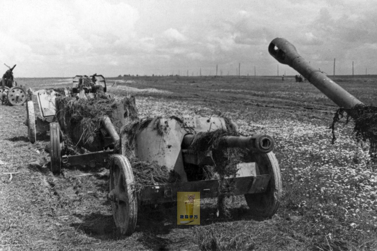 这场仗打得不太好，不过炮还是不错的——1943年，东线，库尔斯克战役期间。德军