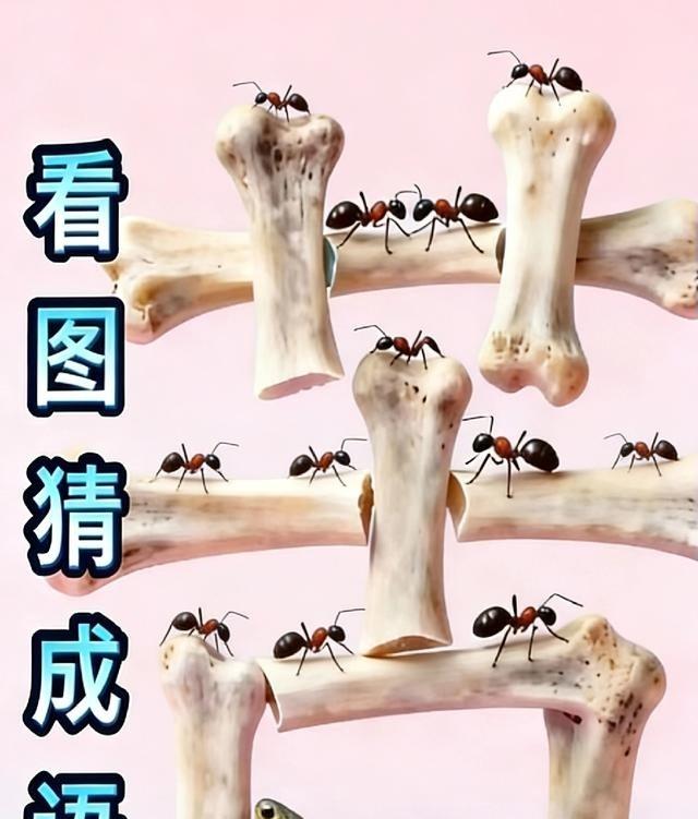 这图是个谐音梗谜题，答案是“苦尽甘来”。骨头拼“苦”，乌龟谐音“尽”，蚂蚁“啃”