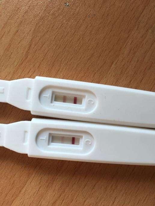 查出怀三胞胎, 被赶回娘家, 孩子出生后, 全家笑婆婆哭!