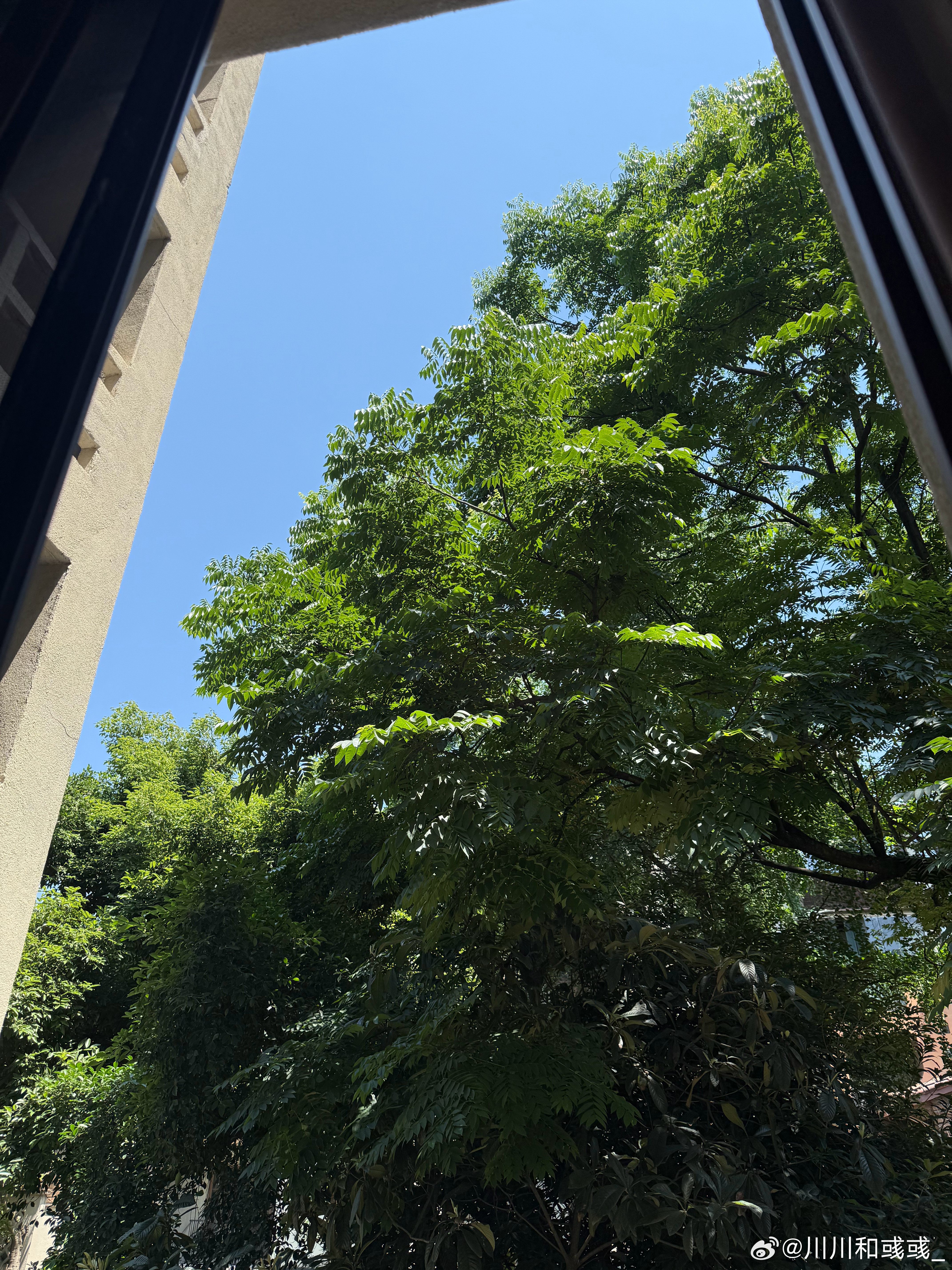 重庆这天气，大家暑假真别来，要遭中暑，我觉得重庆是时候搞点室内项目了[捂脸哭]​