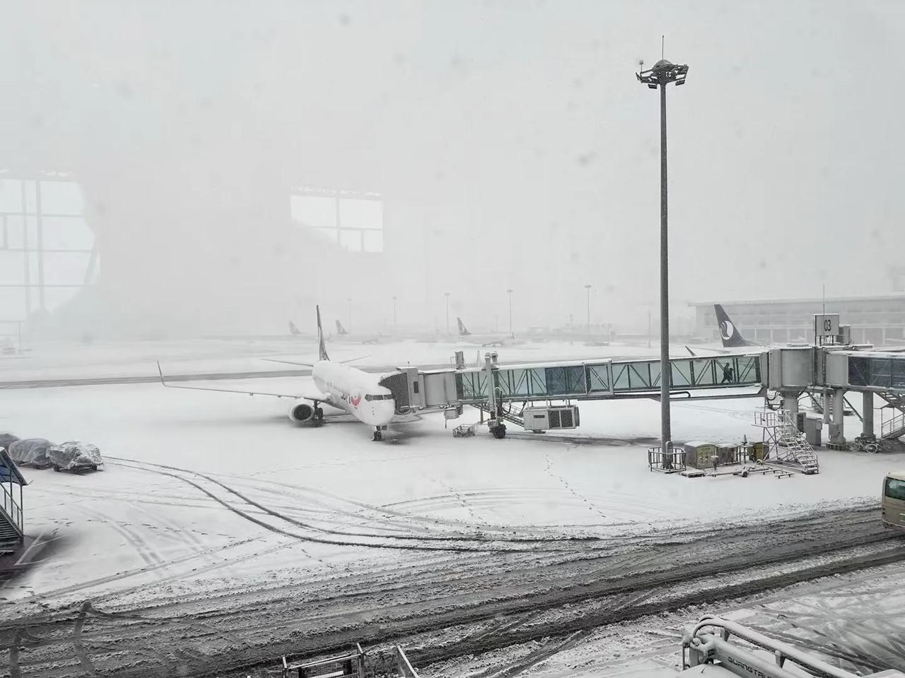 济南，这是用一天，下了一个冬天的雪！地上的积雪，大约有十厘米厚！看着这雪的厚