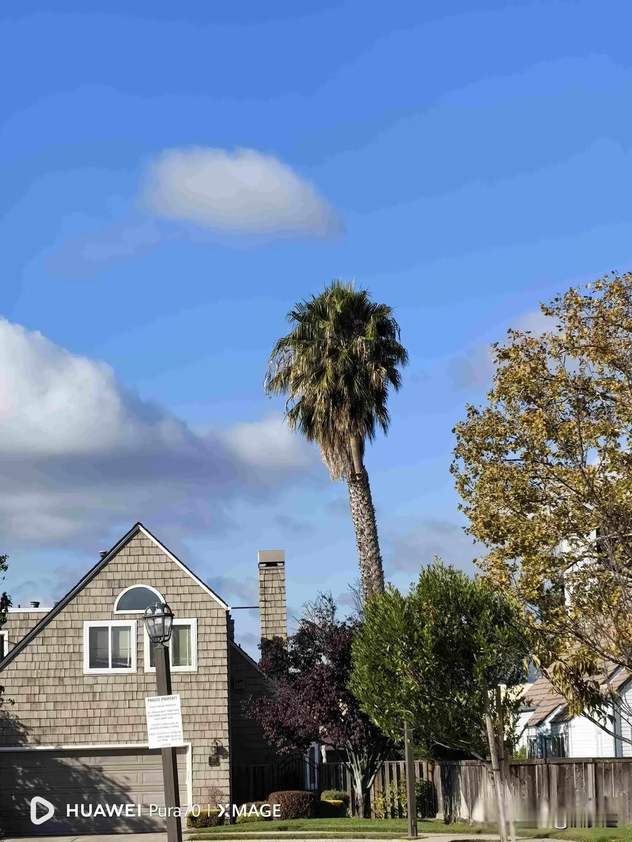 中年夫妻三年旅美，舒适圈成牢笼，家在别处才踏实他们不是移民身份，也不是旅行游