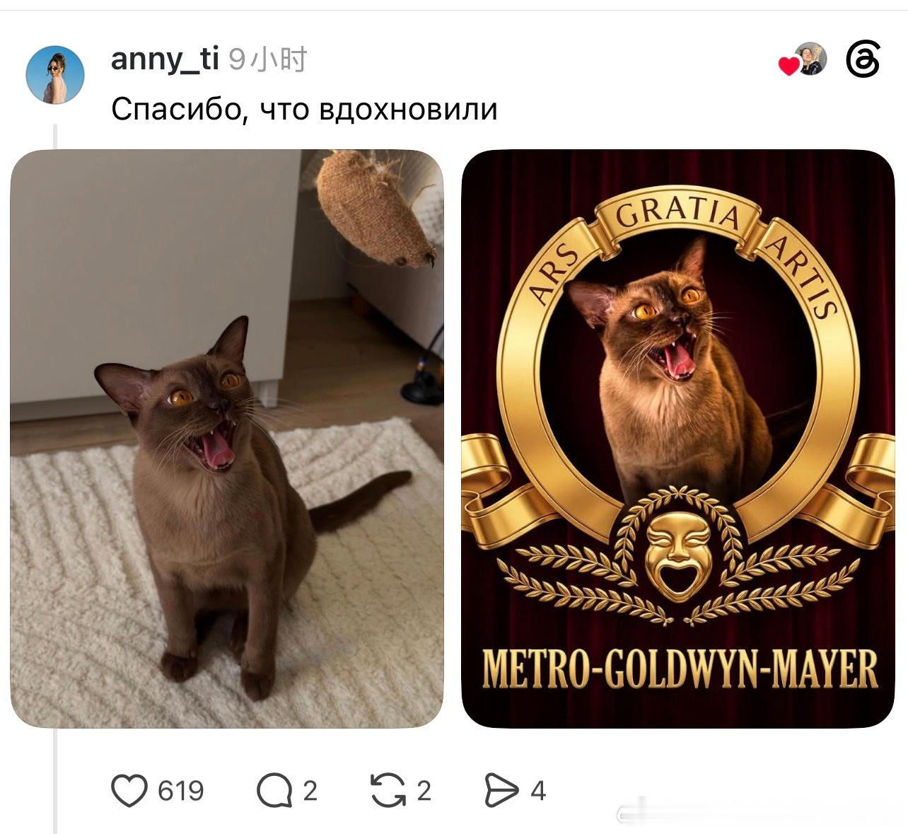 小猫咪真的很百搭ᓚᘏᗢ