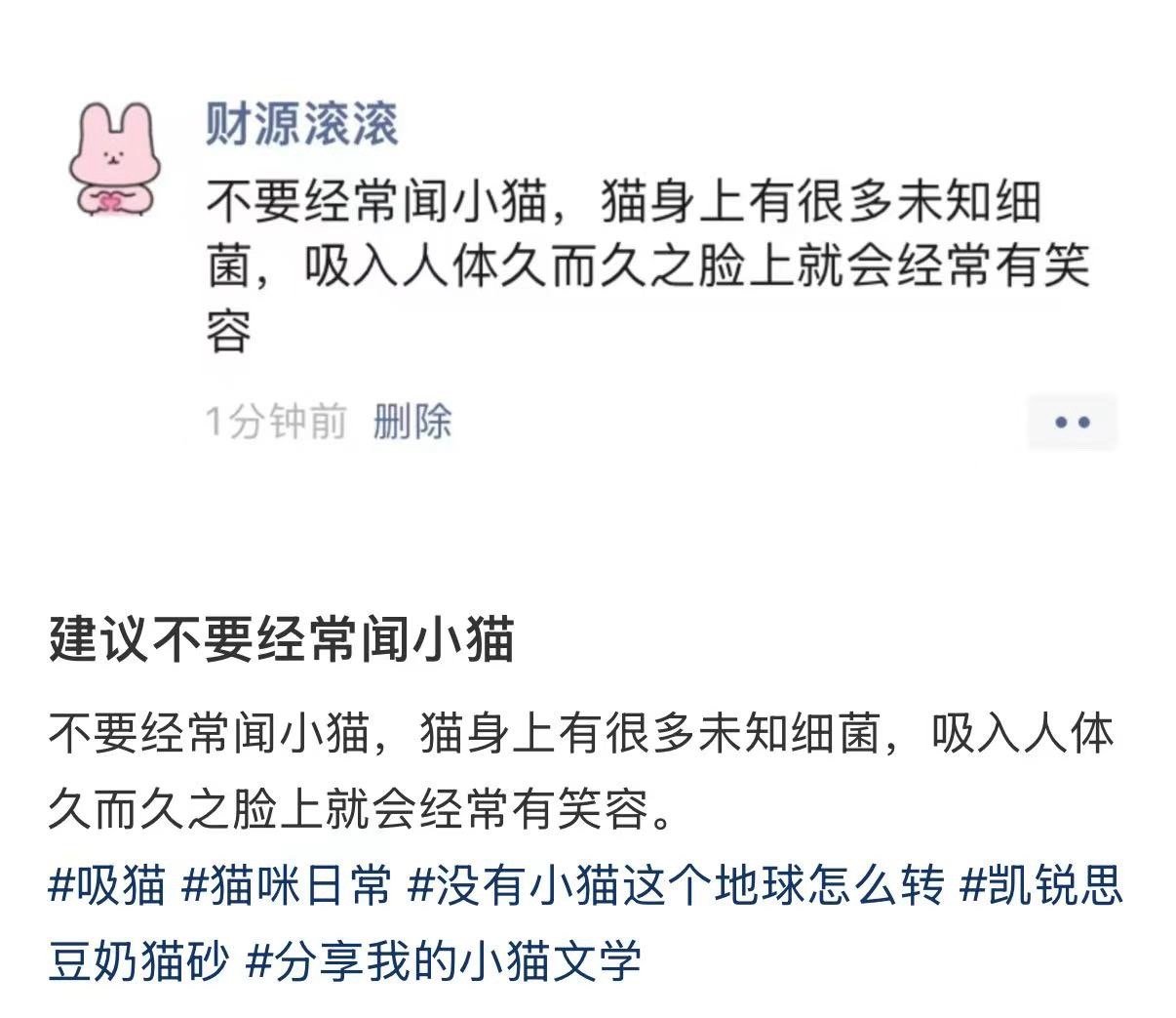 建议不要经常闻小猫​​​