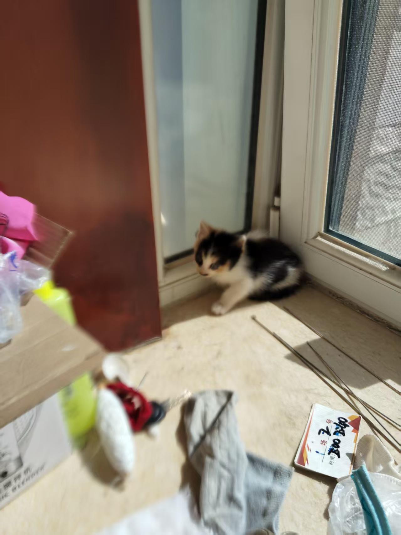 昨天我妈说去看我姨了，我说挺好啊，你们姐妹聚聚也挺好的，哪知道我刚说完，我妈说话