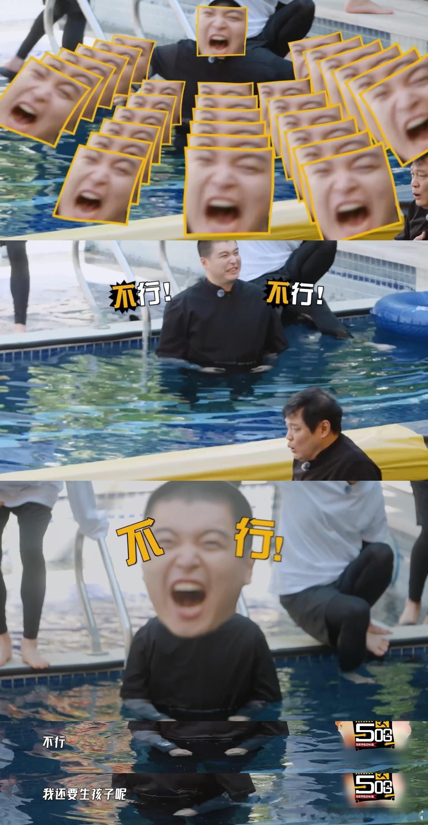 马頔我还要生孩子呢你永远不要惹一个正在装修房子的人，不然他只会毛茸茸地听从安