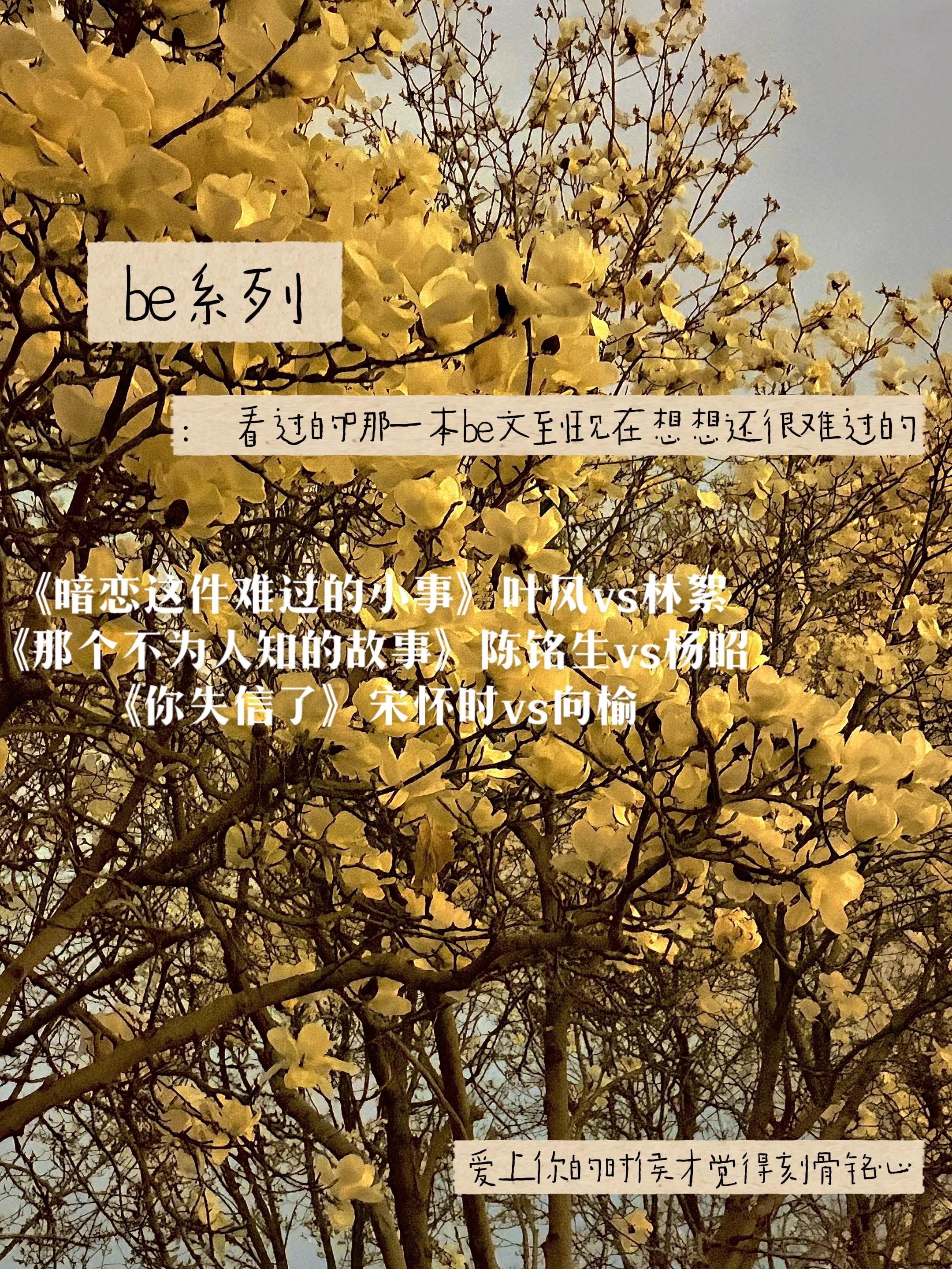 看过的哪一本be文到现在想起来还很难过的
