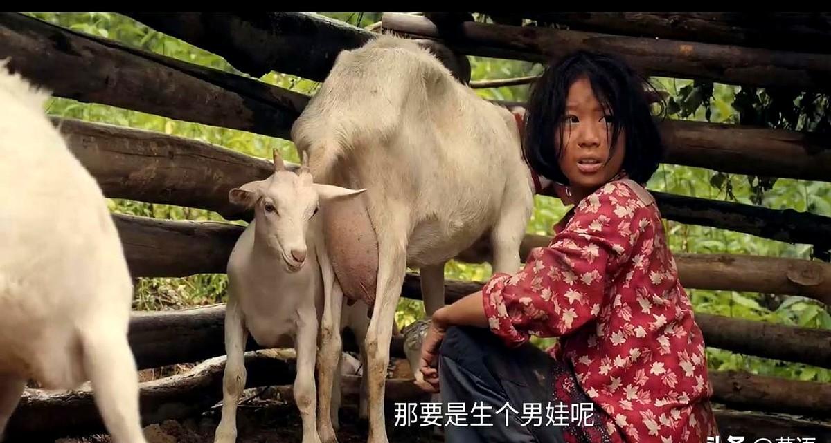 “你要是考不上，就别回来了！”父亲一句话，把九岩沟放羊的易青娥推进了县城剧团