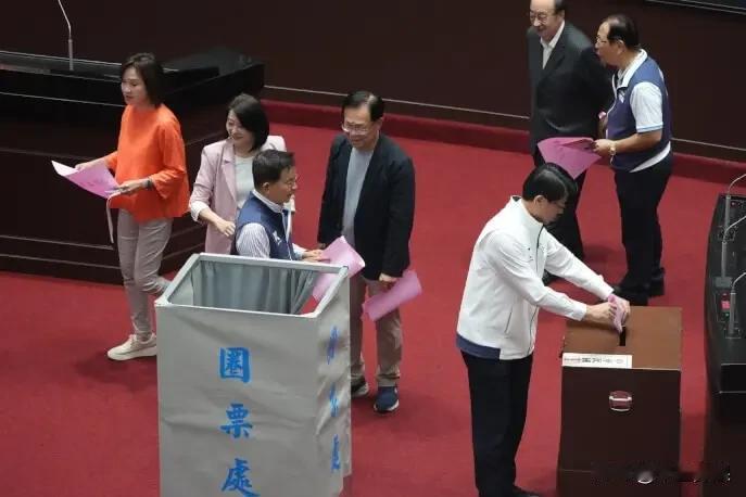 今天（7日）在台民意机构遭蓝白再度携手封杀，4个被提名人均被以60票不同意、50