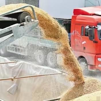 一旦全球停止出口粮食，中国能自给自足吗？说句扎心的，中国或许无法自给自足，但是主