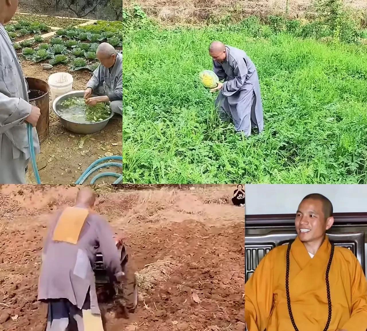 真金不怕火炼，真假和尚一试便知。释印乐全面主持少林寺工作后进行了大刀阔斧的改革