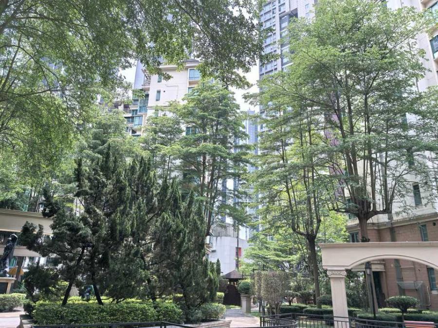 3.9万买科技园，英伦名苑206平只要800万，交通方便/位置好/高赠送~英