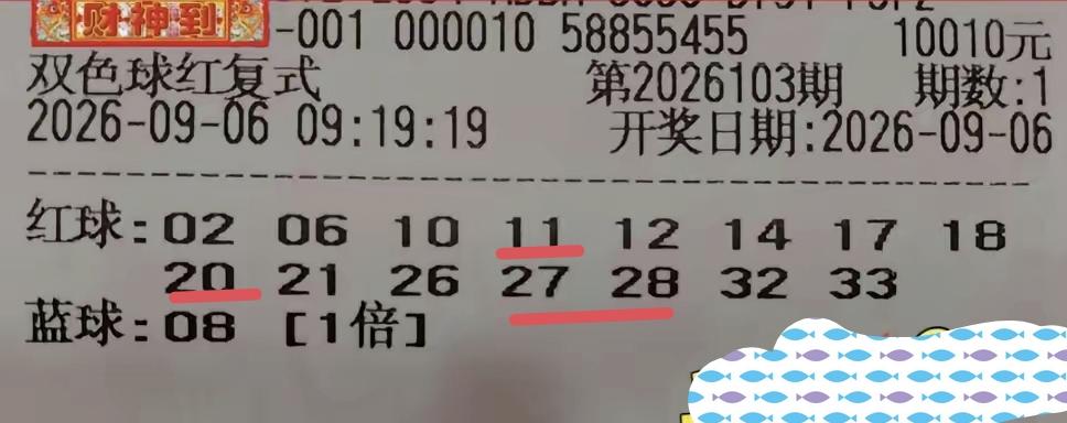 理想中的目标并没有实现，但也不是没有收获，这张花了10010元的福彩双色球复式彩