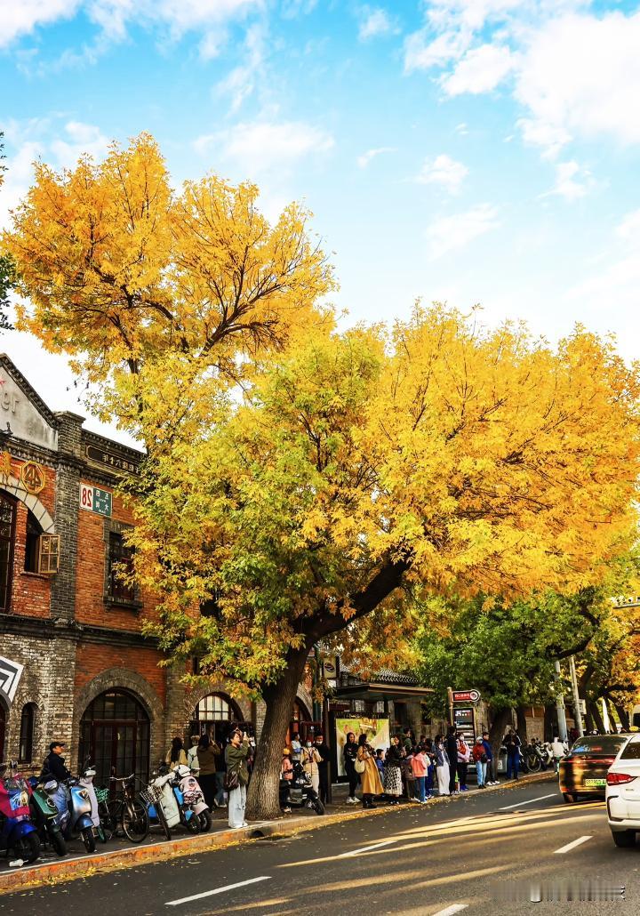 我们绝大多数人,或许要到生命终结的那天，才能真正明白。原来世间万物,终究皆空