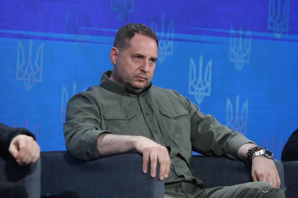 11月24日，乌克兰真理报报道，乌克兰国家反腐败局发布针对总统身边圈子腐败问题的