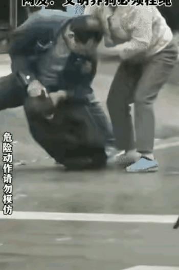 “这次养狗的遇到狠人了！”大妈遛大狗不栓绳，咬人还想溜？苏州这起事件，给所有养犬