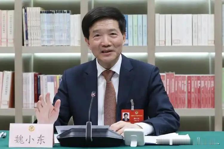 周末打虎，北京震动！魏小东被查的消息落地，很多人的第一反应是：他都65岁了，还有