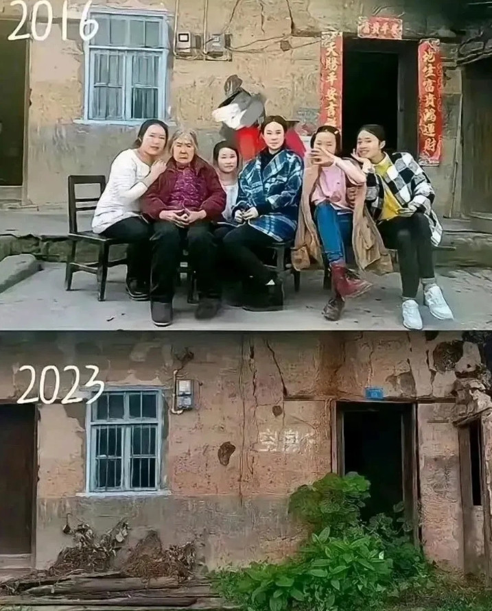 不得不承认，农村的房子没有人打理，不出几年就会荒草丛生啊。