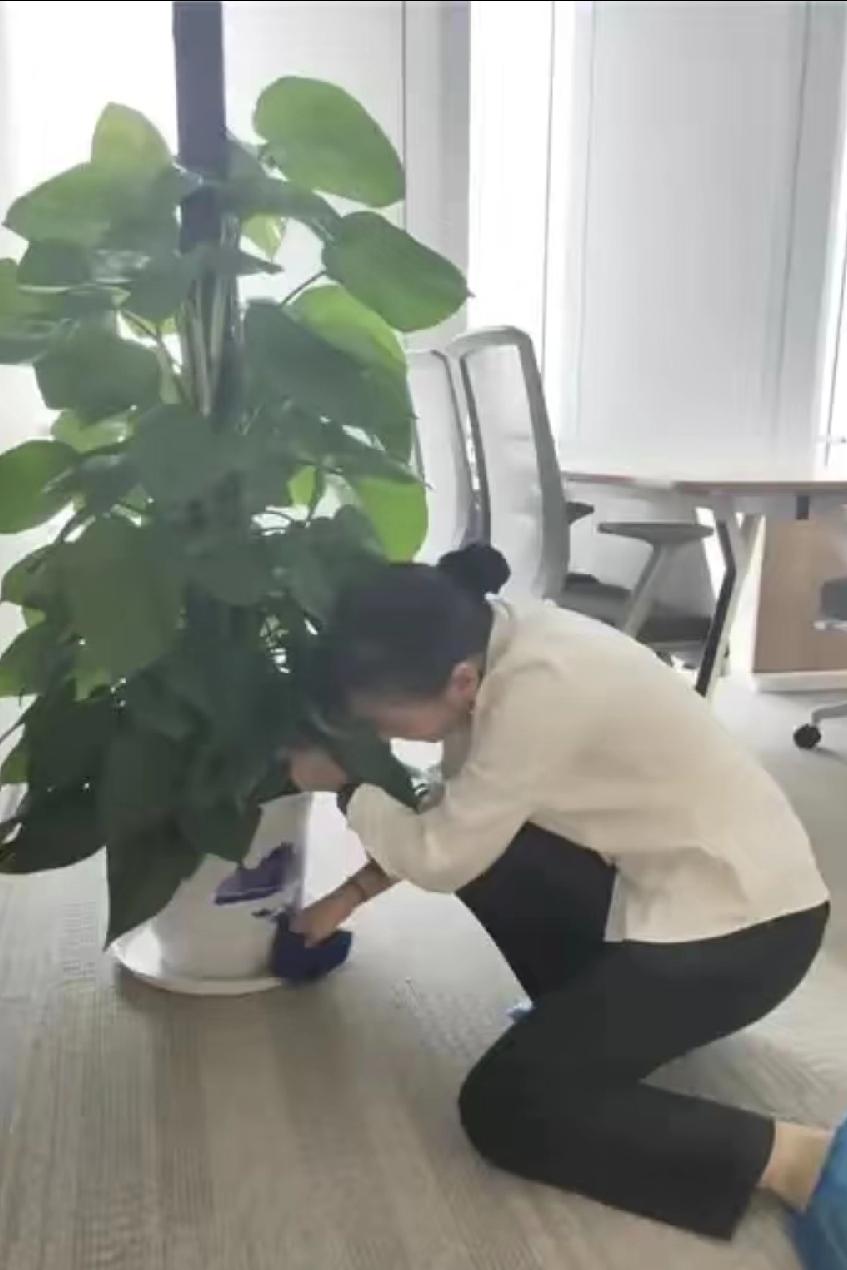 我单位的清洁工阿姨，今年56岁，活得特别通透。前几天她闺女跟女婿闹离婚，跑回